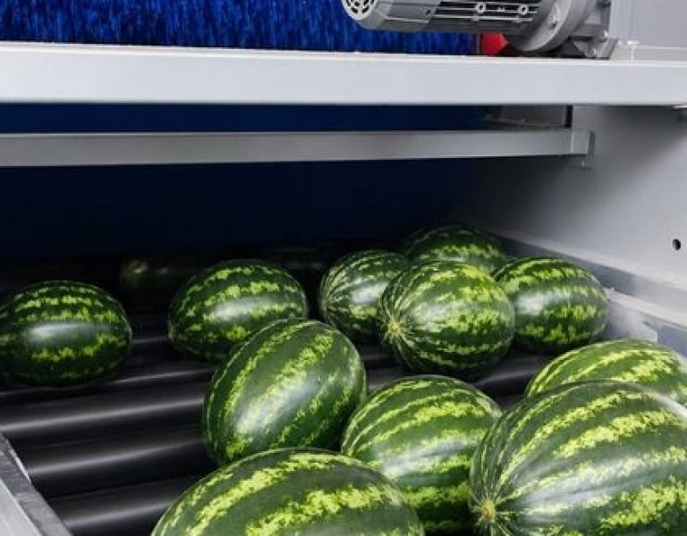 ΓΡΑΜΜΗ ΣΥΣΚΕΥΑΣΙΑΣ ΚΑΡΠΟΥΖΙΟΥ ΔΥΝΑΜΙΚΟΤΗΤΑΣ 15 ΤΟΝΩΝ ΤΗΝ ΩΡΑ ΜΕ ΜΕΤΑΛΛΙΚΟ ΔΙΣΚΟ