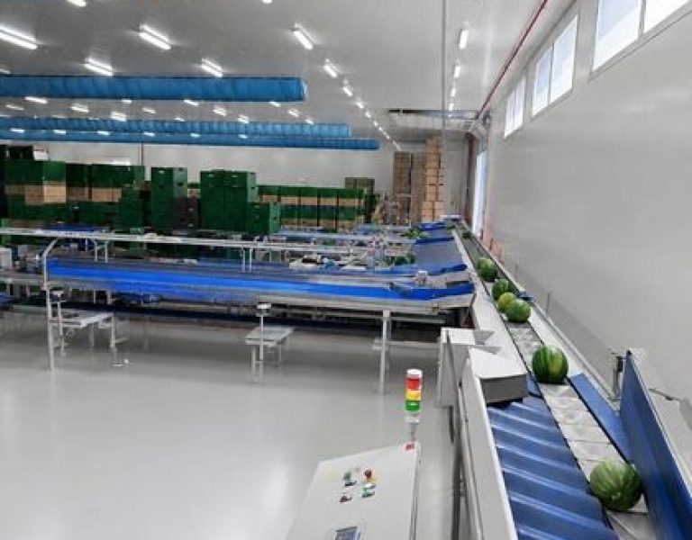 ΓΡΑΜΜΗ ΣΥΣΚΕΥΑΣΙΑΣ ΚΑΡΠΟΥΖΙΟΥ ΜΕ ΑΝΑΤΡΟΠΕΑ BINS ΔΥΝΑΜΙΚΟΤΗΤΑΣ 15 ΤΟΝΩΝ ΤΗΝ ΩΡΑ ΜΕ ΜΕΤΑΛΛΙΚΟ ΔΙΣΚΟ