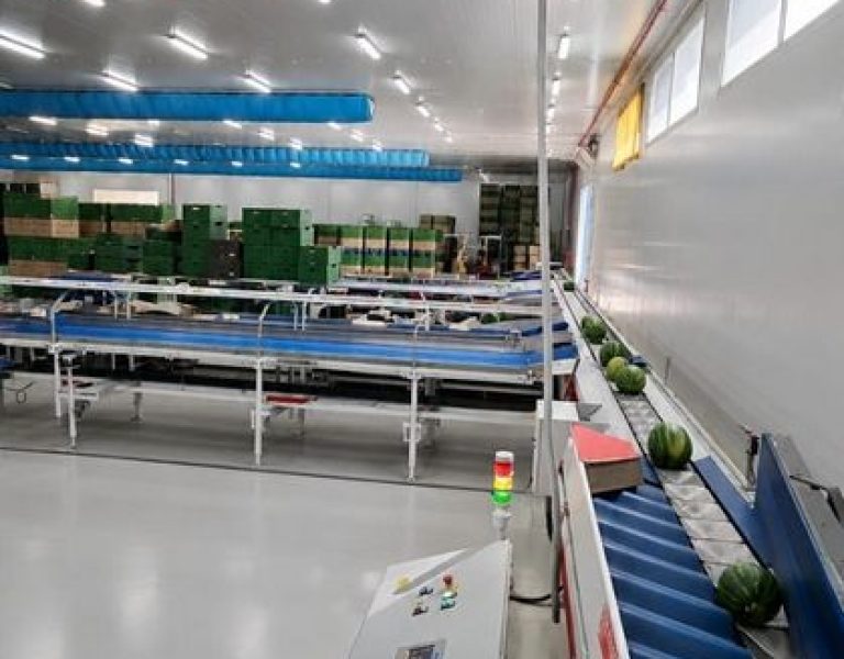 ΓΡΑΜΜΗ ΣΥΣΚΕΥΑΣΙΑΣ ΚΑΡΠΟΥΖΙΟΥ ΜΕ ΑΝΑΤΡΟΠΕΑ BINS ΔΥΝΑΜΙΚΟΤΗΤΑΣ 15 ΤΟΝΩΝ ΤΗΝ ΩΡΑ ΜΕ ΜΕΤΑΛΛΙΚΟ ΔΙΣΚΟ
